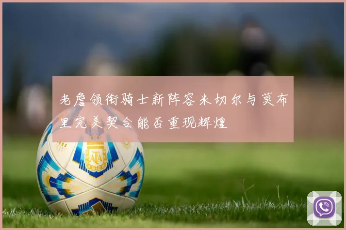 老詹领衔骑士新阵容米切尔与莫布里完美契合能否重现辉煌