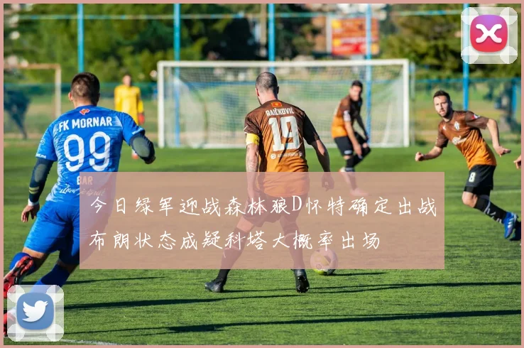 今日绿军迎战森林狼D怀特确定出战布朗状态成疑科塔大概率出场